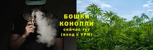 соль ск Сосновка
