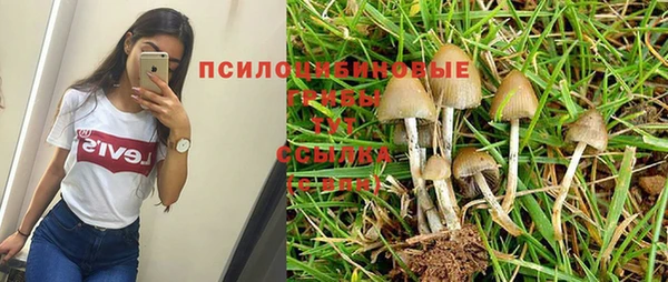 альфа пвп Белокуриха