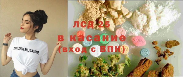 хмурый Сосновый Бор