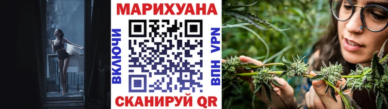 Конопля сатива  Дигора 
